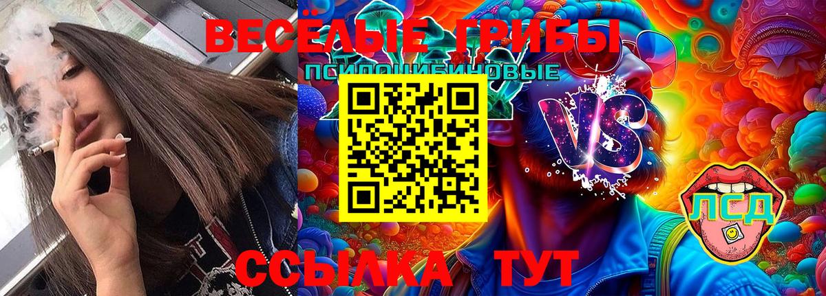 Галлюциногенные грибы Psilocybe  Вход с VPN  Видное 